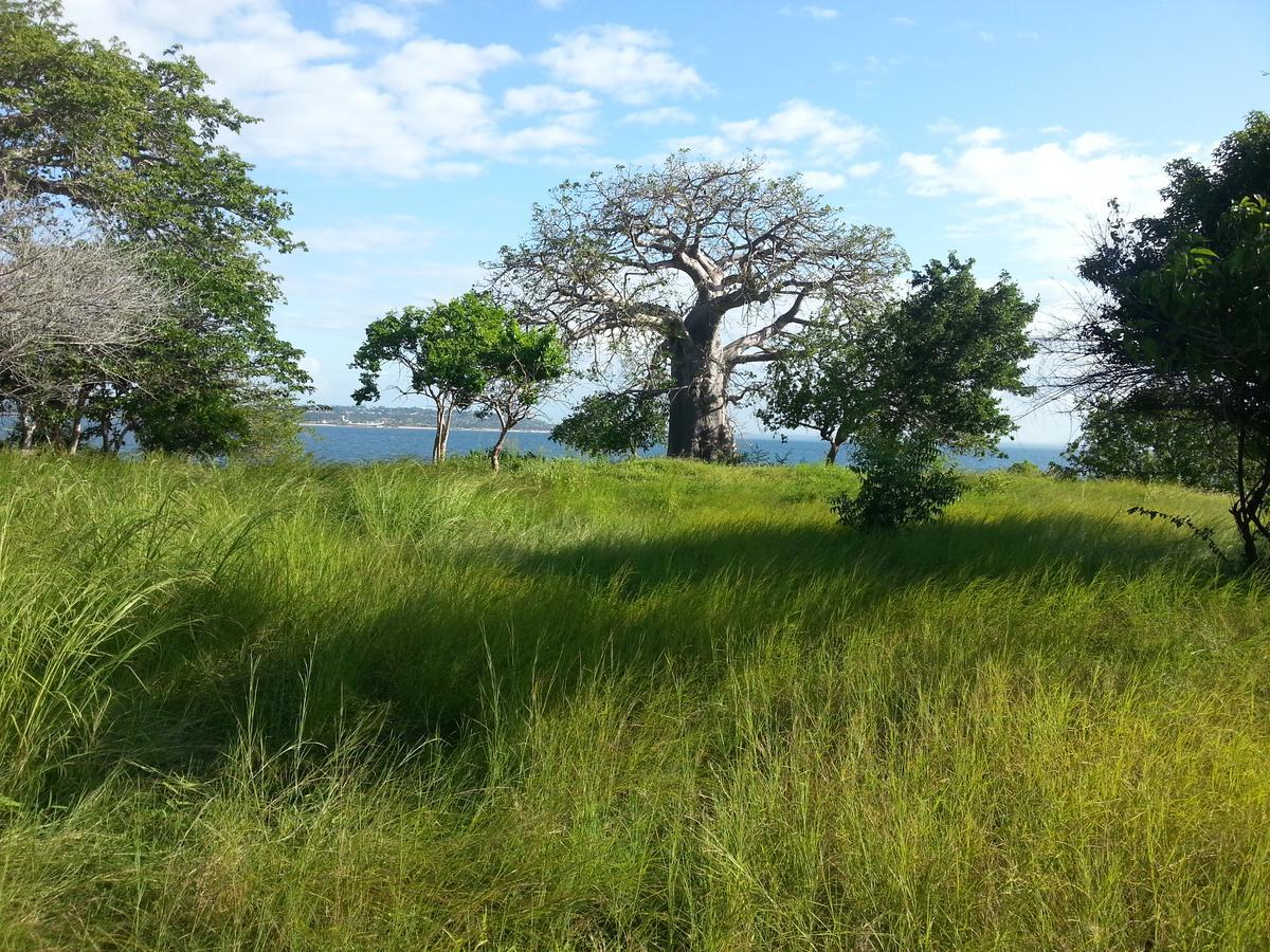 Pemba Arti Lodge 外观 照片